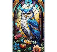 DMQBT 1000 Pièces - Coloré - Puzzle Difficile - Colour Owlss Affiche - Jouets De Puzzle Anti Stress pour Adultes - Jeux De Mémoire Et De Cognition pour Personnes Âgées - DX354ZW