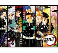 DMQBT 1000 Pièces - Puzzle Irréguliers - Difficult Puzzle - Japanese Animes Demons Tanjirou Posters - Jeux De Mémoire pour Adultes - Jouets Anti-Stress pour La Famille - Za224Wk