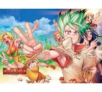 DMQBT 1500 Piece Puzzle Puzzle ，Photos ，Gifts ，Classic Japanese Animes Dr.Stone ，Jeux De Défis pour Enfants ，Jouet De Décompression pour Adultes - Xt238Zp