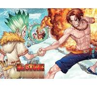 DMQBT 1500 Piece Puzzle Puzzle ，Photos ，Gifts ，Classic Japanese Animes Dr.Stone ，Jeux De Défis pour Enfants ，Jouet De Décompression pour Adultes - Xt235Zp