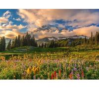 DMQBT 1500 Piece Puzzles pour Adults - Jouets Amusants Et Stimulants pour Toute La Famille - Rainier Mounts Scenery Pictures - Puzzle 1500 Pièces pour Adults - Xu654Tw