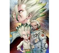 DMQBT 1500 Pièces ,Irregular Puzzle ,Poster ,Gifts ,Dr.Stone Japanese Animes Poster ,Jeux Et Jouets Personnalisés pour Enfants Et Adultes - Xp51Qk