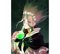 DMQBT 1500 Pièces Puzzle - Fun Puzzle - Gifts - Dr.Stone Ishigami Japanese Animes Affiche - Jouets Éducatifs pour Enfants - Jeux De Mémoire Et De Cognition - Cq127Zj