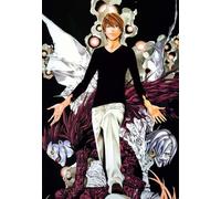 DMQBT 1500 Pièces Puzzle ，Irregular Puzzle ，Affiche ，Gifts ，Classic Japanese Animes Deaths Notess ，Jeux De Réduction du Stress en Famille ，Jouets De Défi pour Adultes - Cq146Zj