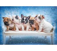 DMQBT 1500 Pièces Puzzles - Fun Personalised Adult Puzzle Toy - Cute Bulldogs Photos - Difficult Puzzle 1500 Pièces pour Défi des Adultes - Jy75Zp