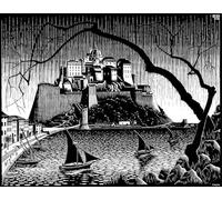 DMQBT 1500 Pièces Puzzles - Fun Personalised Adult Toy - M C Eschers Art Geometrys - Difficult Puzzle 1500 Pièces for Adults Challenge - Vw295Zq