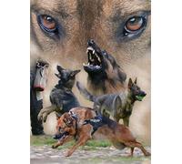 DMQBT 1500 Pièces Puzzles pour Adultes - Fun Adult Puzzle Toy - German Shepherds Photos -1500 Pièces Difficult Puzzle - Family - Jy224Zp