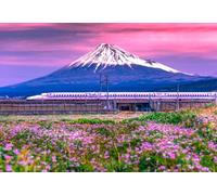 DMQBT Affiche Art Puzzle 1500 Pièces - Japan Fujis Scenery - Puzzles pour Adultes 1500 Pièces - Large Puzzle Gifts pour The Family - Jy258Zp