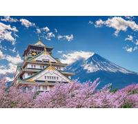 DMQBT Affiche Art Puzzle 1500 Pièces - Japan Fujis Scenery - Puzzles pour Adultes 1500 Pièces - Large Puzzle Gifts pour The Family - Jy256Zp