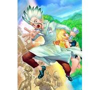 DMQBT Colorful Puzzle - 1500 Piece Puzzles- Classic Japanese Animes Dr.Stone Affiche - Jouets Éducatifs pour Enfants - pour Adults - Cq255Zj