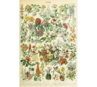 DMQBT Difficult Puzzle 1500 Pièces pour Défi des Adultes - Affiche Art Puzzles 1500 Pièces - Flowers Vintage Illustrations - Family - Jy395Zp