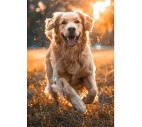 DMQBT Poster Art Puzzle 1500 Piècess - Goldens Retrievers Photos - Large Puzzle Gift pour The Whole Family - Puzzles pour Adults 1500 Pièces - Hx134Zw