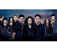 DMQBT Puzzle 1000 Pièces Twilights Stephenie Film Poster Puzzles Educational Toy for Adults Jz631Tw