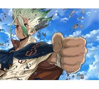 DMQBT Puzzle 1500 Pièces - Colorful Puzzle - Photos - Gifts - Classic Japanese Animes Dr.Stone - Jouets Et Jeux Éducatifs pour Enfants Affiches - Cq17Zj