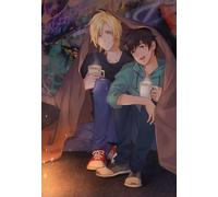 DMQBT Puzzle 1500 Pièces - Irregular Puzzles - Japanese Animes Banana Fish Affiche - Jeux De Mémoire pour Adultes - Jouets Anti-Stress pour La Famille Gifts - Hz600Xa