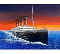 DMQBT Puzzle Irrégulier 1000 Pièces- Puzzle Difficile - Titanic'S Ship Oil Painting - Jouets Amusants pour Adultes - Jeux De Réduction du Stress en Famille - DX219ZW