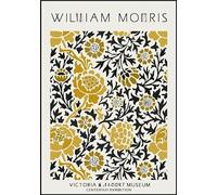 DMQBT Puzzles 1500 Pièces - Colourful Irregular Puzzle - Williamss Morriss Retro Art Flowers Affiche - Jouets Amusants pour Adultes Gifts - Elderly Jeux De Mémoire Et De Cognition - Hz385Xa