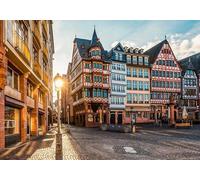 DMQBT Puzzles 1500 Pièces pour Adults - Difficult Puzzle 1500 Piece pour Adults Challenge - Frankfurt Romas Squares Art Pictures - Jeux De Réduction du Stress en Famille - Xu624Tw