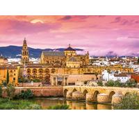 DMQBT Puzzles 1500 Pièces pour Adults ，Difficult Puzzle 1500 Piece pour Défi Adultes ，Spanish Roman Bridge Photos ，Décoration Murale - Cq247Zj