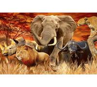 DMQBT Puzzles pour Adults 1500 Pièces - Colorful - 1500 Piècess Adult Puzzle - African Animals Art Oil Painting - Décoration Intérieure - Hx139Zw