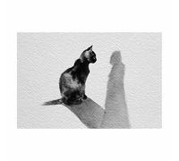 DMZPKZB affiche noir et blanc Décoration d'ombre de chat Murale Art Toile tableau,Peinture Salon Moderne Intérieur Decoration,pour hôtel Chambre Bureau (Couleur noir et blanc)-30x45cm Sans cadre