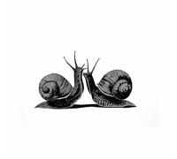 DMZPKZB affiche noir et blanc Deux escargots Murale Art Toile tableau,Peinture Salon Moderne Intérieur Decoration,pour hôtel Chambre Bureau cuisine(Couleur noir et blanc)-50x70cm Sans cadre