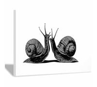 DMZPKZB affiche noir et blanc Deux escargots Murale Art Toile tableau,Peinture Salon Moderne Intérieur Decoration,pour hôtel Chambre Bureau cuisine(Couleur noir et blanc)-70x100cm Encadrée