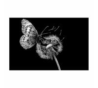 DMZPKZB affiche noir et blanc Papillons Murale Art Toile tableau,Peinture Salon Moderne Intérieur Decoration,pour hôtel Chambre Bureau cuisine(Couleur noir et blanc)-80x120cm Sans cadre