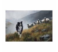 DMZPKZB Art mural animalier, Élevage de border collies affiches d'animaux, adaptées à la décoration des salons, salles de bains, couloirs, bureaux et études(Multicolore)-50x70cm Sans cadre