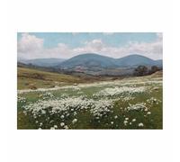 DMZPKZB Impression d'art mural de paysage Arche de la Forêt Enchantée décoration d'affiche vintage, convient au salon,à la chambre,à la cuisine,bureau,couloir(Multicolore)-30x45cm Sans cadre