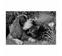 DMZPKZB Noir Et Blanc Peinture Sur Toile Tableau Chats et chiens Moderne Decoration à La Maison,affiche murale Art,pour chambre à coucher,salon,cafés(Noir et blanc)-70x100cm Sans cadre