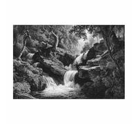 DMZPKZB photo noir et blanc cascade Toile non tissée,posters muraux modernes,Grand Tableaux Decoratifs Muraux,pour Salle de Bains Bureau Salon(Noir et blanc)-70x100cm Sans cadre