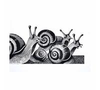 DMZPKZB photo noir et blanc Groupe d'escargots Toile non tissée,posters muraux modernes,Grand Tableaux Decoratifs Muraux,pour Salle de Bains Bureau Salon(Couleur noir et blanc)-60x90cm Sans cadre