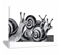 DMZPKZB photo noir et blanc Groupe d'escargots Toile non tissée,posters muraux modernes,Grand Tableaux Decoratifs Muraux,pour Salle de Bains Bureau Salon(Couleur noir et blanc)-50x70cm Encadrée