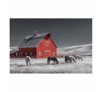 DMZPKZB photo noir et bnc Grange rouge avec troupeau de chevaux Toile non tissée,posters muraux,Grand Tableaux Decoratifs Muraux,pour Salle de BainsSalon(Couleur noir et bnc)-30x45cm Sans cadre