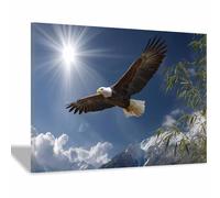 DMZPKZB tableau d'œuvres d'art animales Art des pygargues à tête blanche volants art mural populaire, décoration mura du salon, de chambre à coucher, Bureau (Multicolore)-70x100cm Encadrée