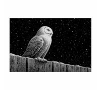 DMZPKZB tableau noir et Owl une nuit enneigée Affiche en Toile, Tableau Décoration Moderne, pour Salon Chambre cuisine Bureau (Couleur noir et blanc)-70x100cm Sans cadre