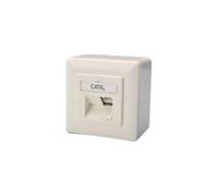 DN-9007-S-1 - Prise à montage encastré - CAT 6 - STP - RJ-45 X 2 - RAL 1013