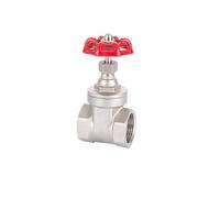 DN15-50 1/2" 3/4" 1" 1-1/4" 1-1/2" 2" BSPT Female Gate Valve 304 Stainless Steel Water Gas Oil Home Garden(1-1/4")