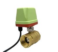 DN15 DN20 DN25 DN50 IP65 Vanne à bille motorisée étanche moteur en métal à 3 fils ou 2 fils en laiton 1 pièce (DN50,220 V, CR02)