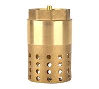 DN25 Brass Foot Valve | One Way Female Thread Check Valve with Strainer Screen | Water Heater Function Valve for Pressure Release/Leak Management | Oxidation Tolerant, Easy