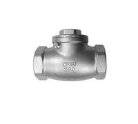DN40 Clapet anti-retour à bascule en acier inoxydable 304 Filetage femelle BSP 200 PSI Convient pour l'eau, l'huile, l'air et d'autres médias