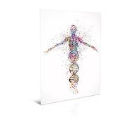 DNA Human Aquarelle Toile Impression adn art Médical Wall Art Infirmière Cadeau Art Médical Science Art Dortoir Cadeau pour Laboratoire Salon Chambre Décoration intérieure 30x45cm Sans cadre