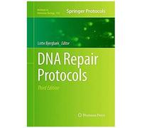 Dna Repair Protocols