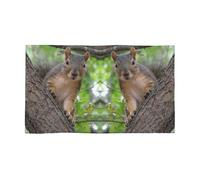 DNBCLEZK Squirrel In The Tree Serviette en polycoton 69,5 x 40,6 cm, impression sur un seul côté, fibre ultra fine sur le devant et boucle en coton, séchage rapide, absorbante