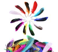 DNDGDLUA Lot de 50 Plumes ColoréEs, Plumes Artisanales, Plumes Naturelles, Plumes Artisanales, Plumes Moelleuses De Couleurs MéLangéEs pour Travaux Manuels, FêTes, DéCorations, Chapeaux Ou Cheveux.