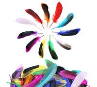 DNDGDLUA Lot de 50 Plumes ColoréEs, Plumes Artisanales, Plumes Naturelles, Plumes Artisanales, Plumes Moelleuses De Couleurs MéLangéEs pour Travaux Manuels, FêTes, DéCorations, Chapeaux Ou Cheveux.