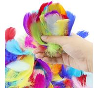 DNDGDLUA Lot de 500 Plumes ColoréEs, Plumes Artisanales, Plumes Naturelles, Plumes Artisanales, Plumes Moelleuses De Couleurs MéLangéEs pour Travaux Manuels, FêTes, DéCorations, Chapeaux Ou Cheveux.