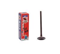 DNJ EV3138 Soupape d'échappement pour Buick, Chevrolet, GMC, Hummer, Isuzu, Oldsmobile, Saab 9-7x, Ascender, Bravada 2.8L-4.2L L6 24V DOHC 256cid 2002-2006