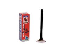 DNJ EV944 Soupape d'échappement pour Lexus, Toyota GS300, IS300, SC300, Supra / 3.0L / DOHC / L6 / 24V / 2997cc / 2JZGE, 2JZGTE / 2JZGTE